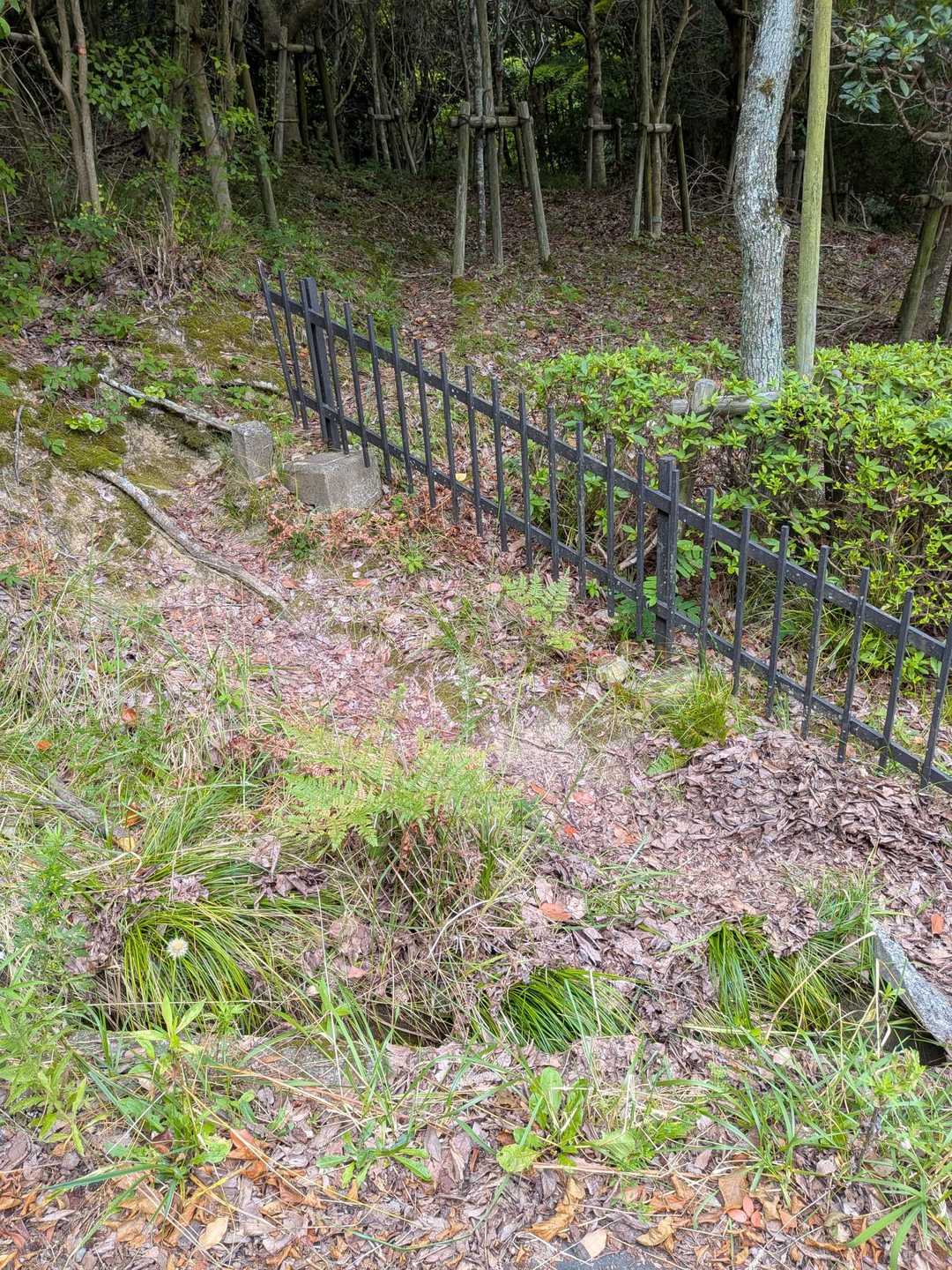 登山へ🫵