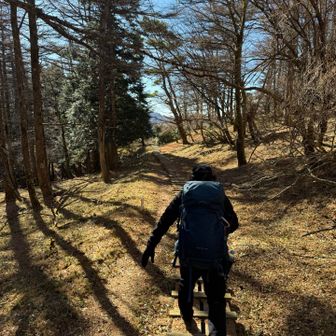 あと少し頑張るでー💪