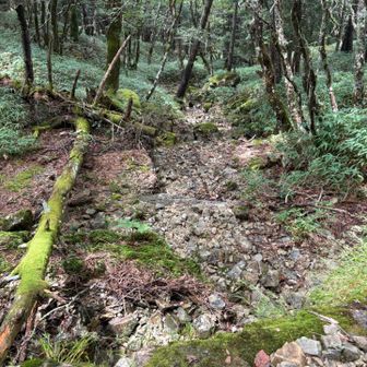 水が流れてるところだったのか？