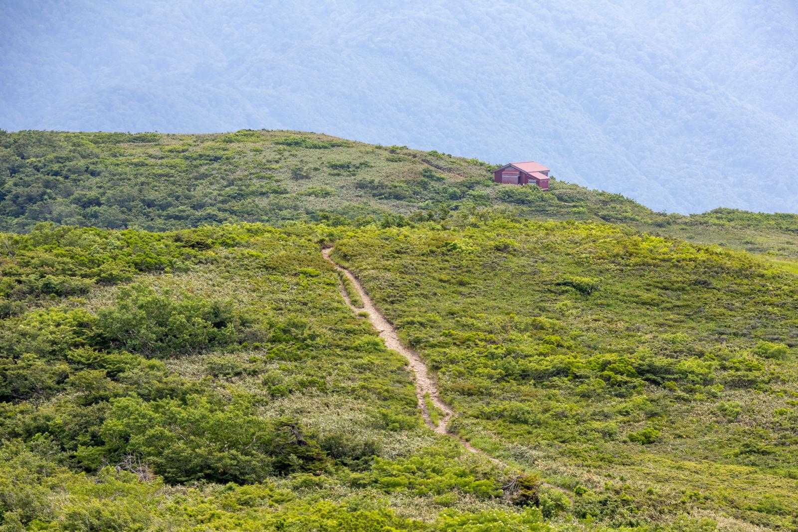 小原峠-赤兎山-裏赤兎山-杉峠-杉峠登山口 周回コースの写真