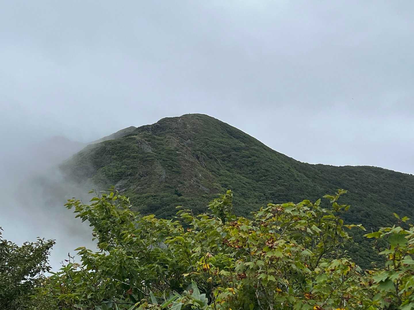 山頂が見えてきました。
山頂標識も見える。