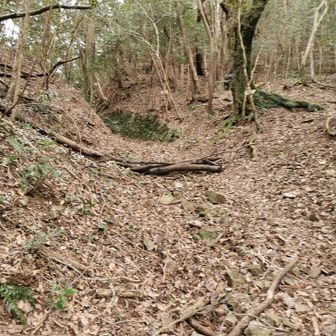 大した傾斜もなく、楽々で塩見峠に到着