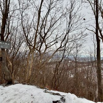 よこして山〜

…体力落ちたなぁ💧