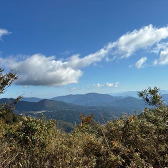 この辺から良い景色が見えます✨