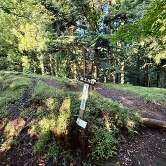 分岐のココまでは良いペース♪