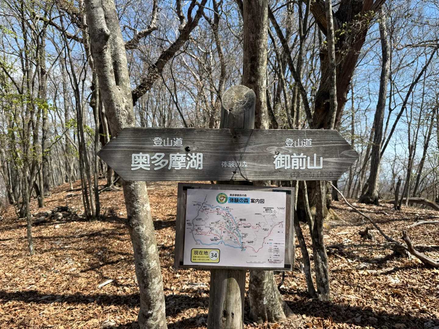 指沢山-惣岳山-御前山-クロノ尾山-鞘口山-愛宕山-奥多摩 縦走コースの写真