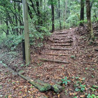 基地を出て、林道から二ツ山への入り口。