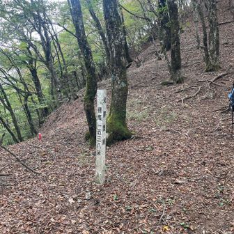 昔はここまで米を背負って来たってこと？？？