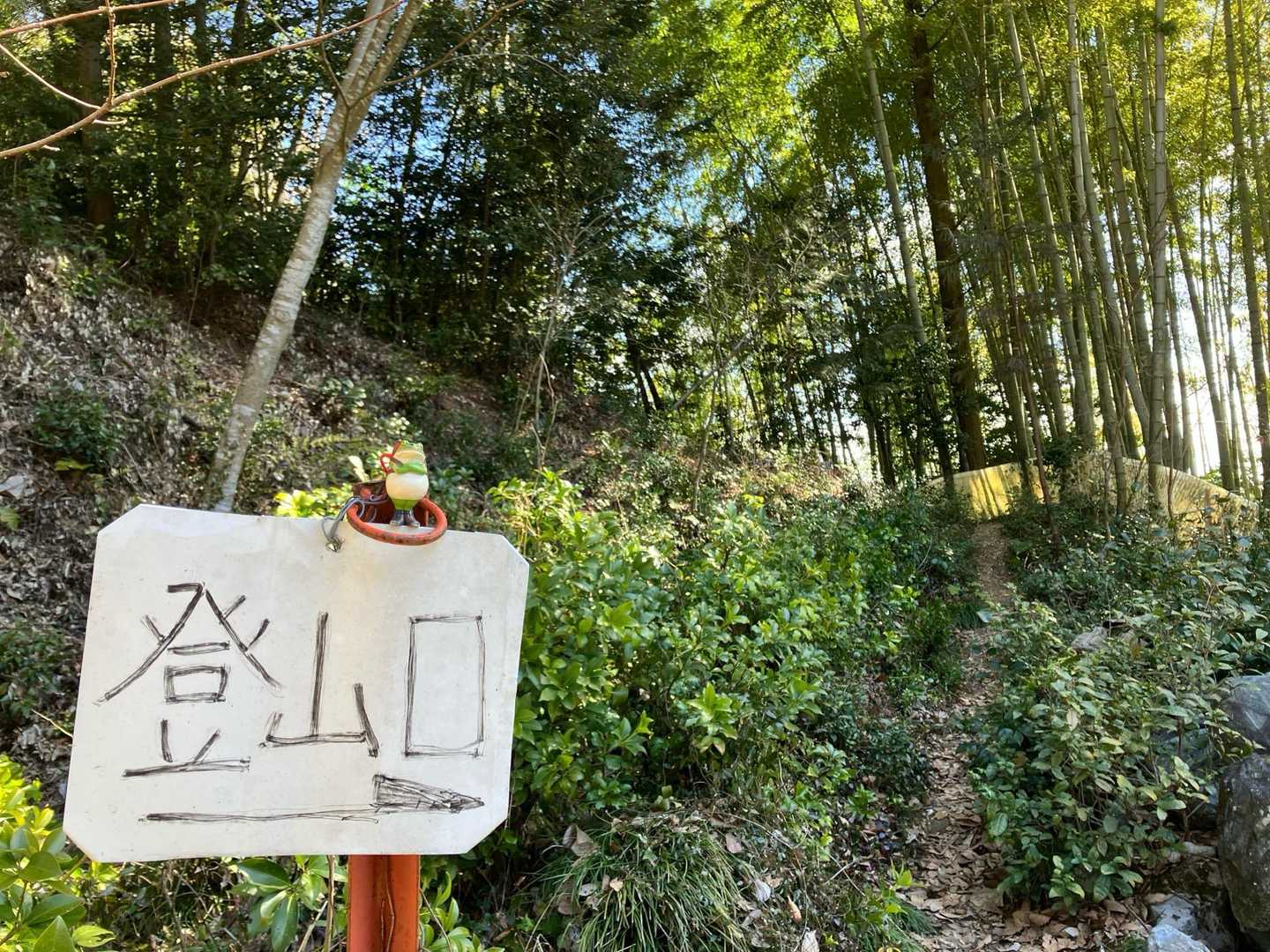 初めての山は、ワクワクうきうき😁