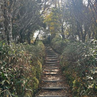 ゆっくり登ります