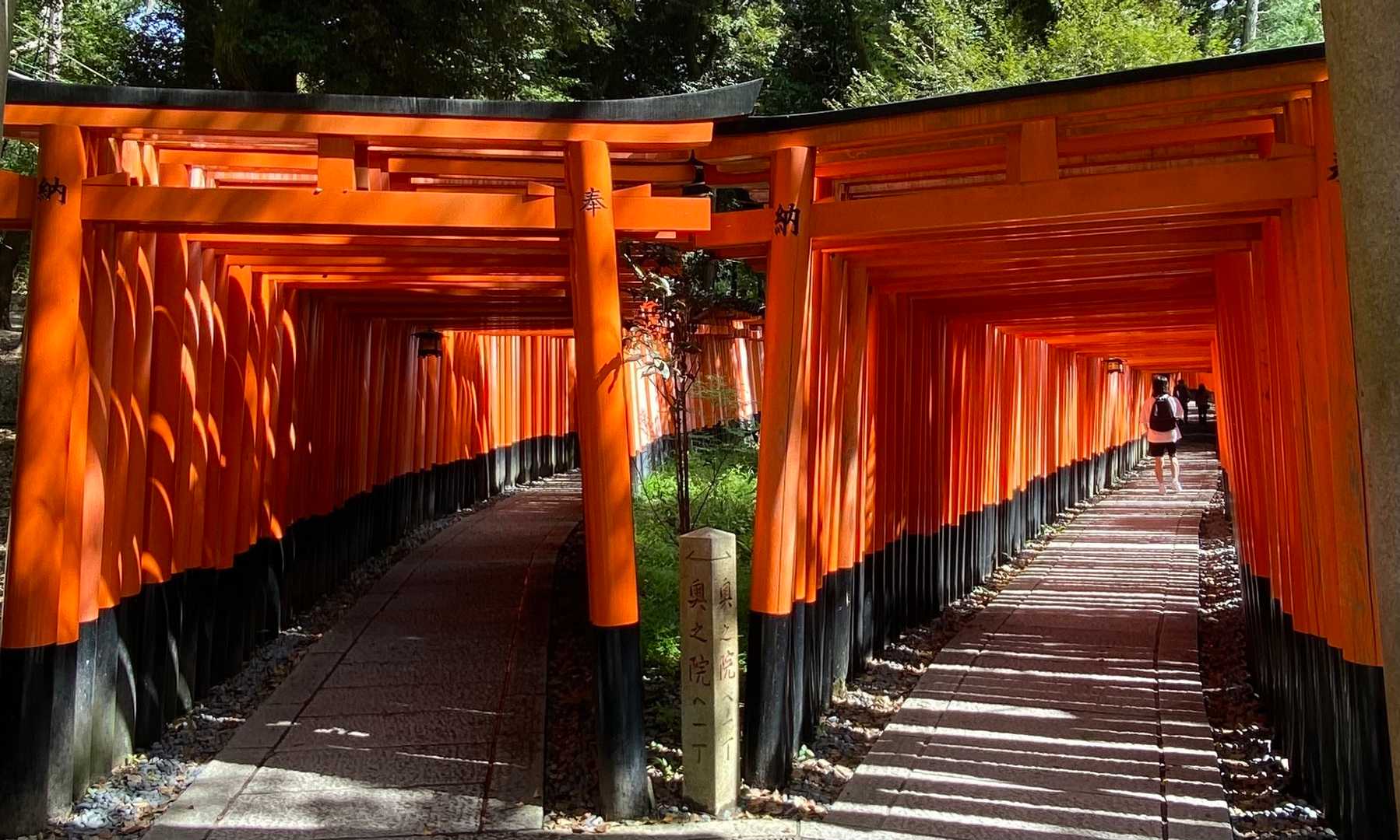 ⛩⛩⛩⛩⛩⛩よく見る風景⛩⛩⛩⛩⛩⛩
行きに奥社の御朱印忘れて
【おもかる石】🪨を持ち上げるの忘れて、ぐるっと少し戻る🌀この道2回目😅