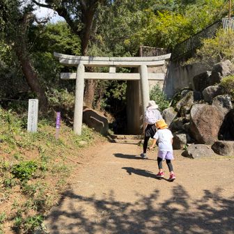 登山口までの歩きが一番暑かった💦