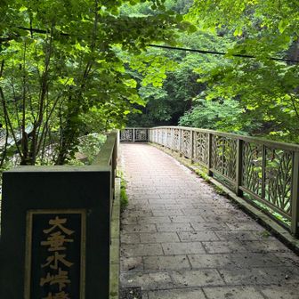 大垂水峠に到着。小仏城山まで行けるかな？ 🤔と考えましたが、計算すると16時までに駐車場に戻るのは厳しいので、今日はここで折り返しました。