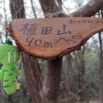 あっという間に登頂