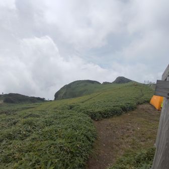 頂上台地に出ました。