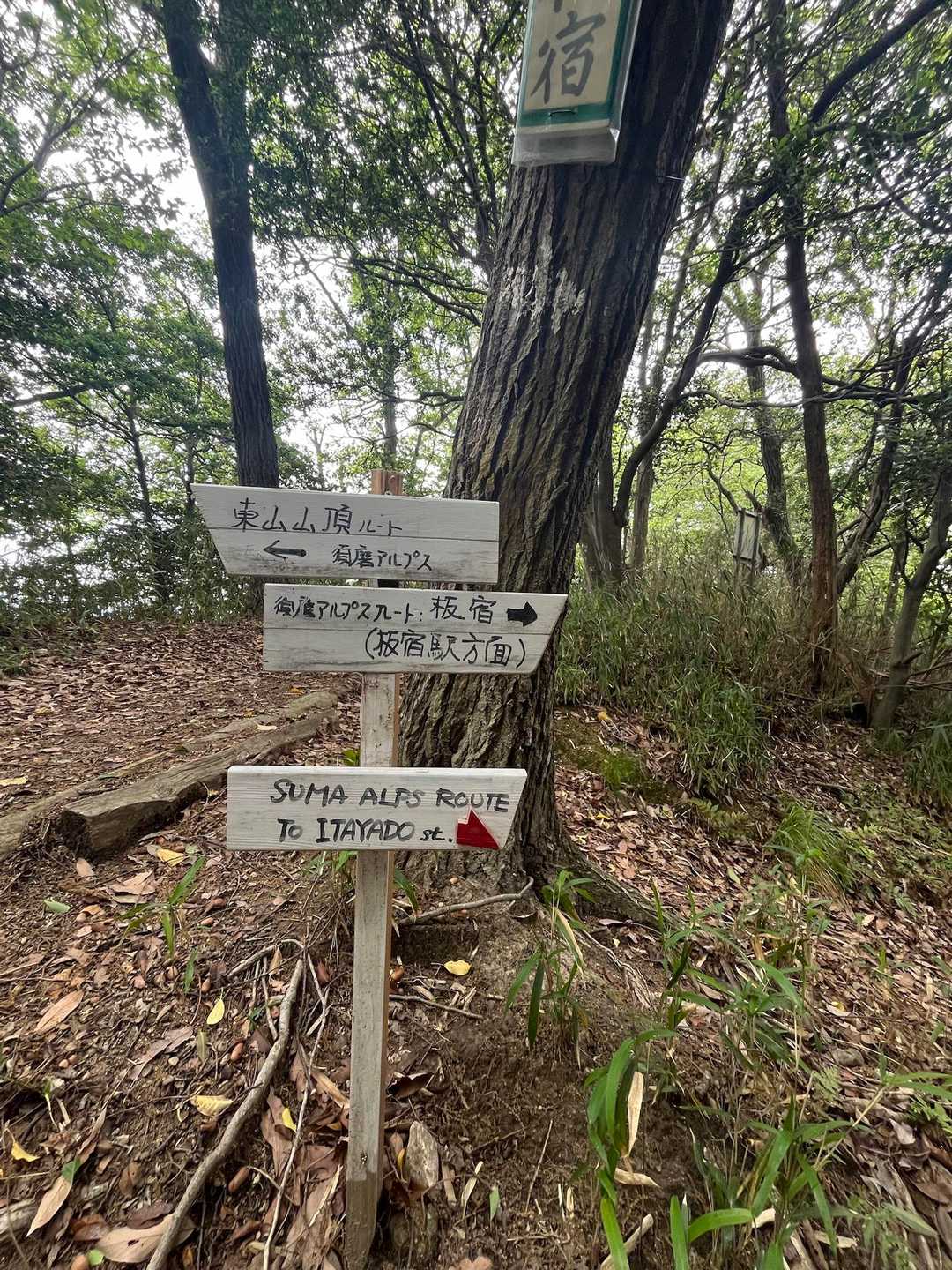 東山 往復コースの写真