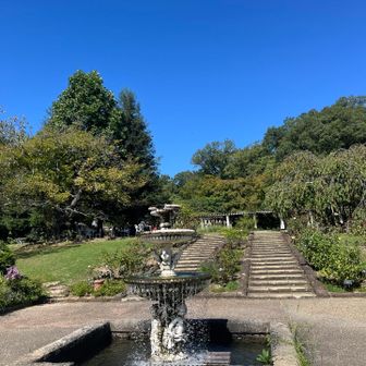 北山公園内を通るぅーー🌿