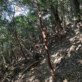 ぜーはーぜーはー