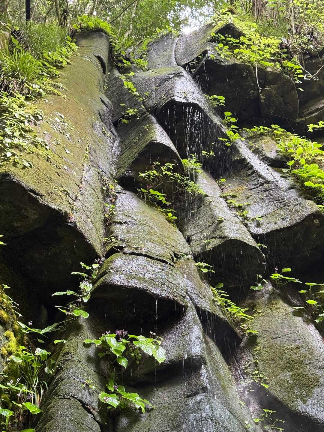 涼を求めて帰りも雨降り滝の下に立つ
今日一番のお気に入りの滝🤩👌