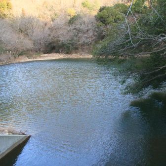松野池のダム湖