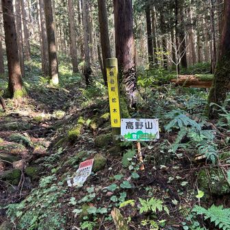 スタート
誰もいない