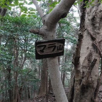 マラ！山