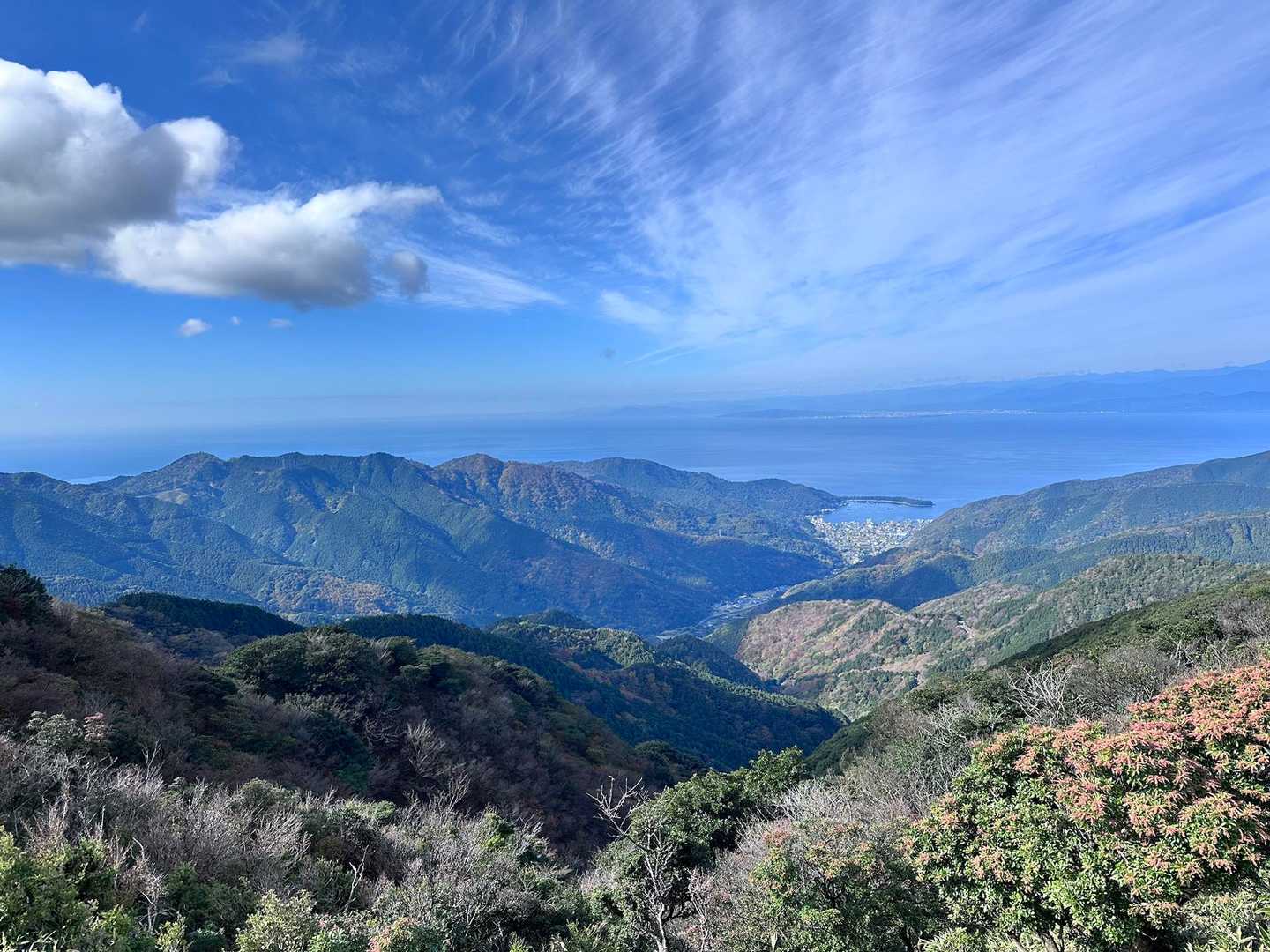 だるま山高原-金冠山-達磨山 往復コースの写真