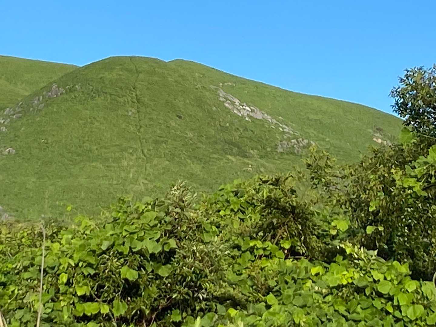 大平山-中峠 周回コースの写真