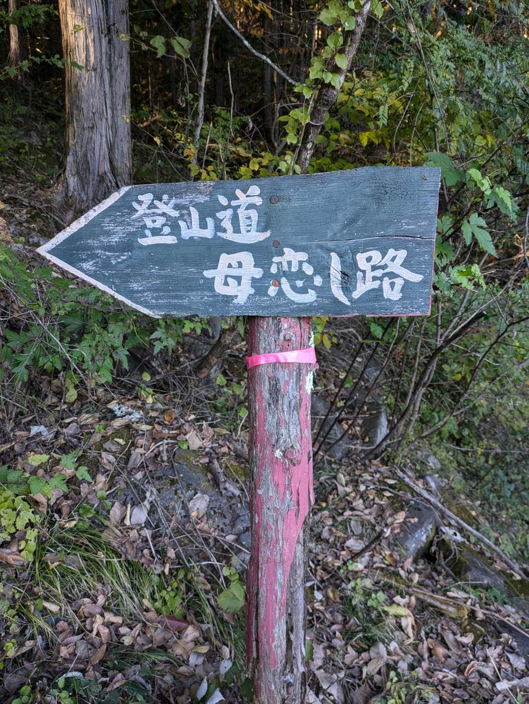 登山道「母恋し路」の入口に着きました。