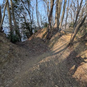 虎が丘城跡。堀切跡がかなりはっきりのこっています