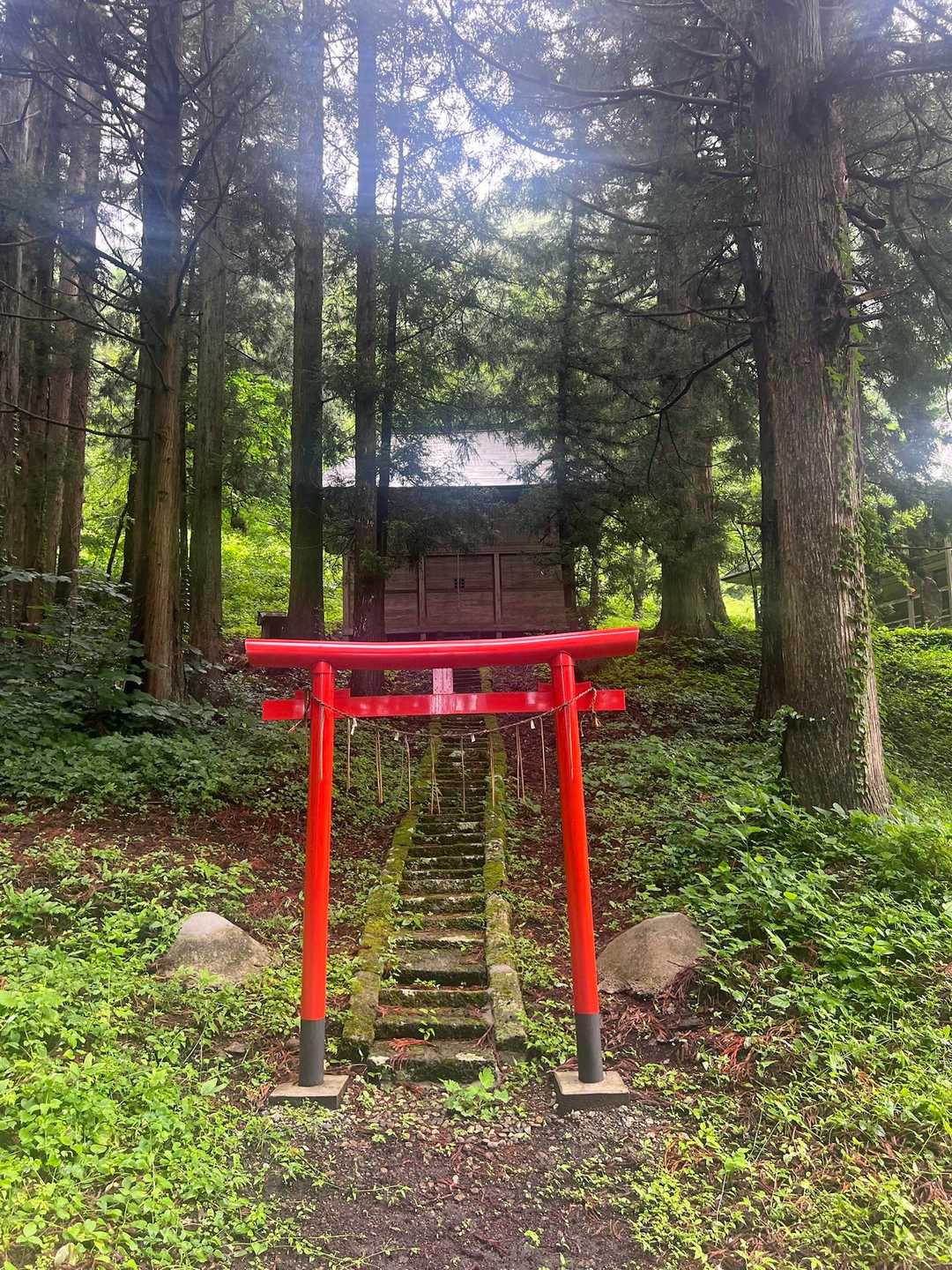 小野岳 往復コースの写真