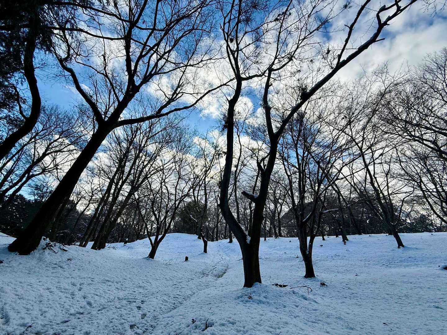 そして山頂付近は雪まぁまぁ❄️