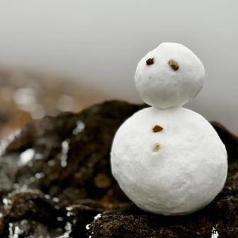 🛖久住山避難小屋前の立派な雪だるま様⛄️
標高1,644m地点…1,500m付近を超えると 辺りは☁️真っ白になりました😢