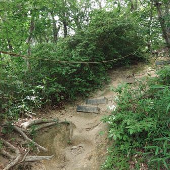 国見山頂上直下急登