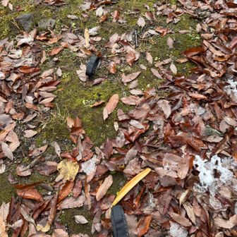 戻ってきたらありました
なんと登山口はすぐそこ(＞＜)