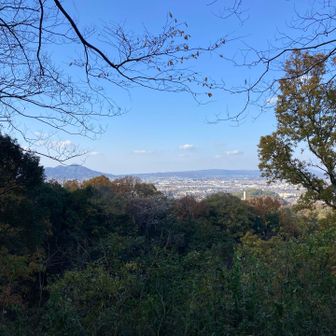 貝吹山からの景色