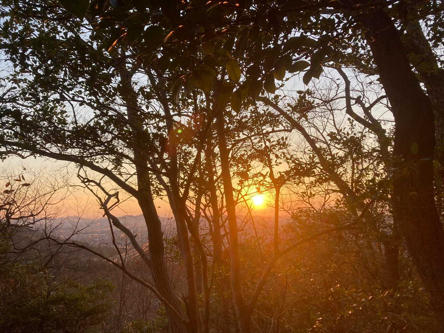 山崎山登り口-山崎山-苫編山-井ノ口山-籾取山-上蒲田公園 縦走コースの写真