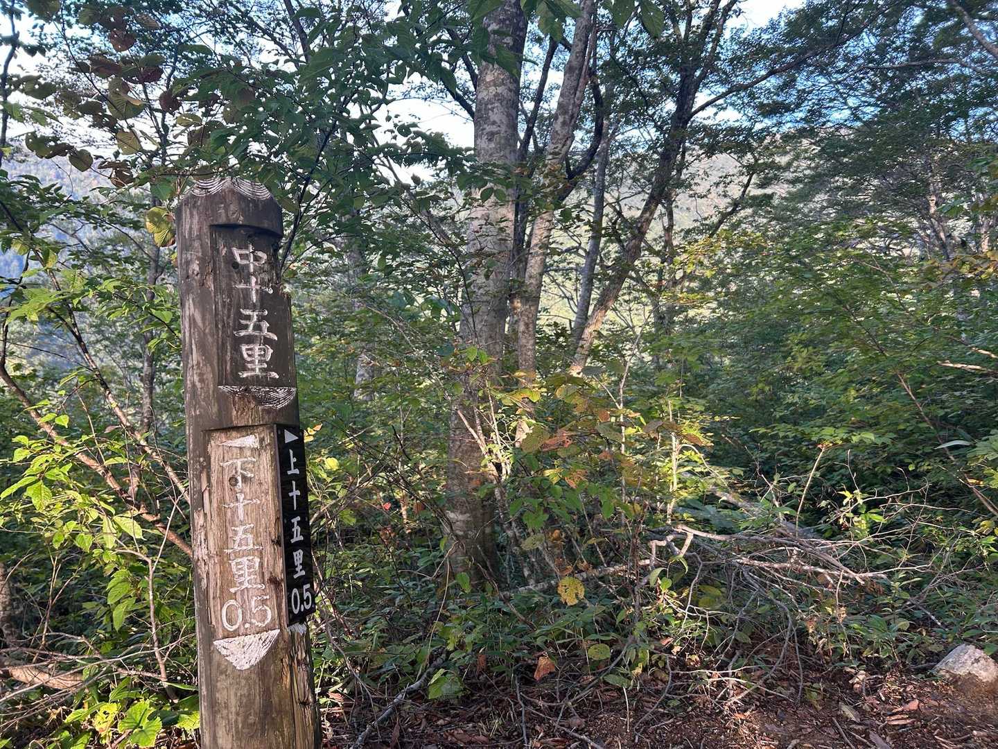 御沢登山口-横峰 往復コースの写真