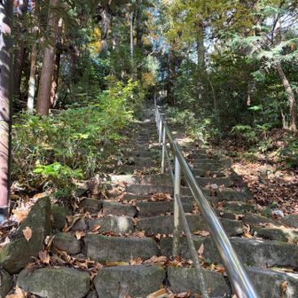 階段も何ヶ所かあり。