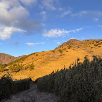 この景色をの中を歩いてみたいと思っていた