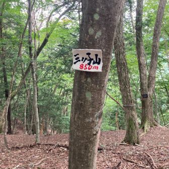 頂上。開けていて、山頂かわからなくて、ウロウロ笑