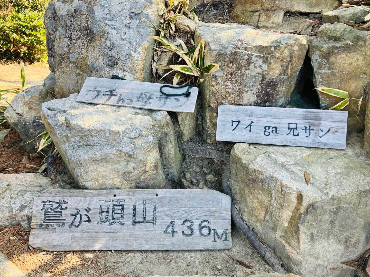安神山-鷲ヶ頭山 往復コースの写真