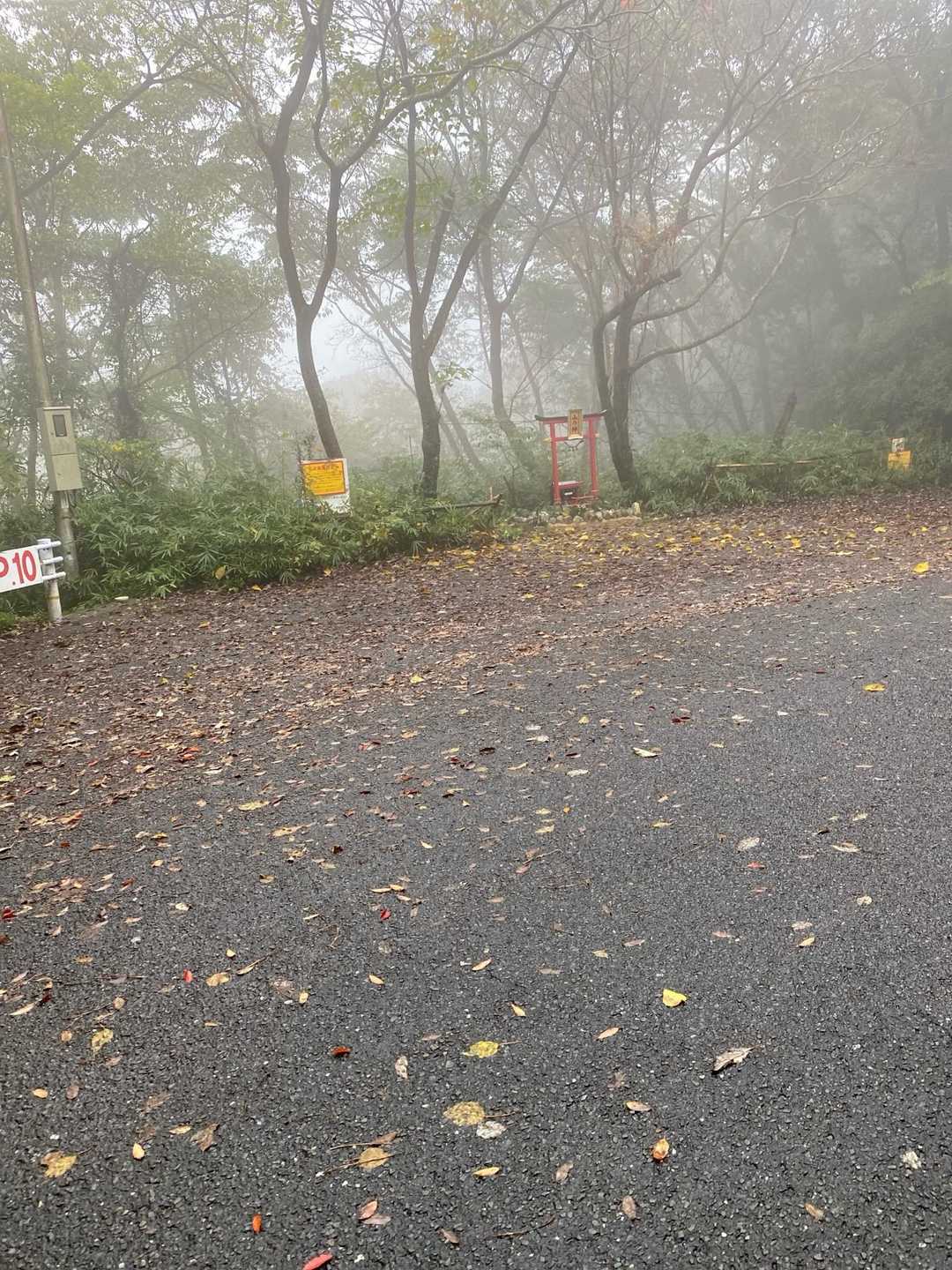 椎野宮神社への道