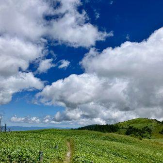 武石峰に向かう。雲が目の高さ。