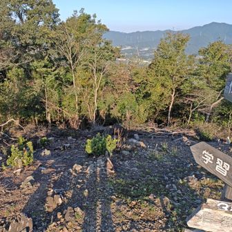 山頂の林が刈り払いされてから眺望が開けている