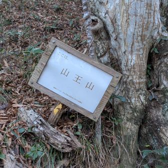 　山王山頂上か？　160m位か
　複数の低山が連なるエリアの総称で(特定のピークは無い)