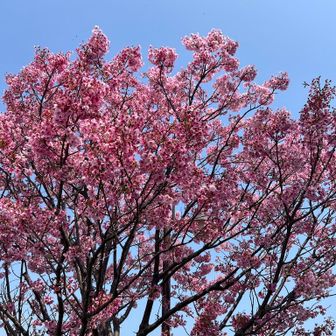 安針塚駅から山登り開始