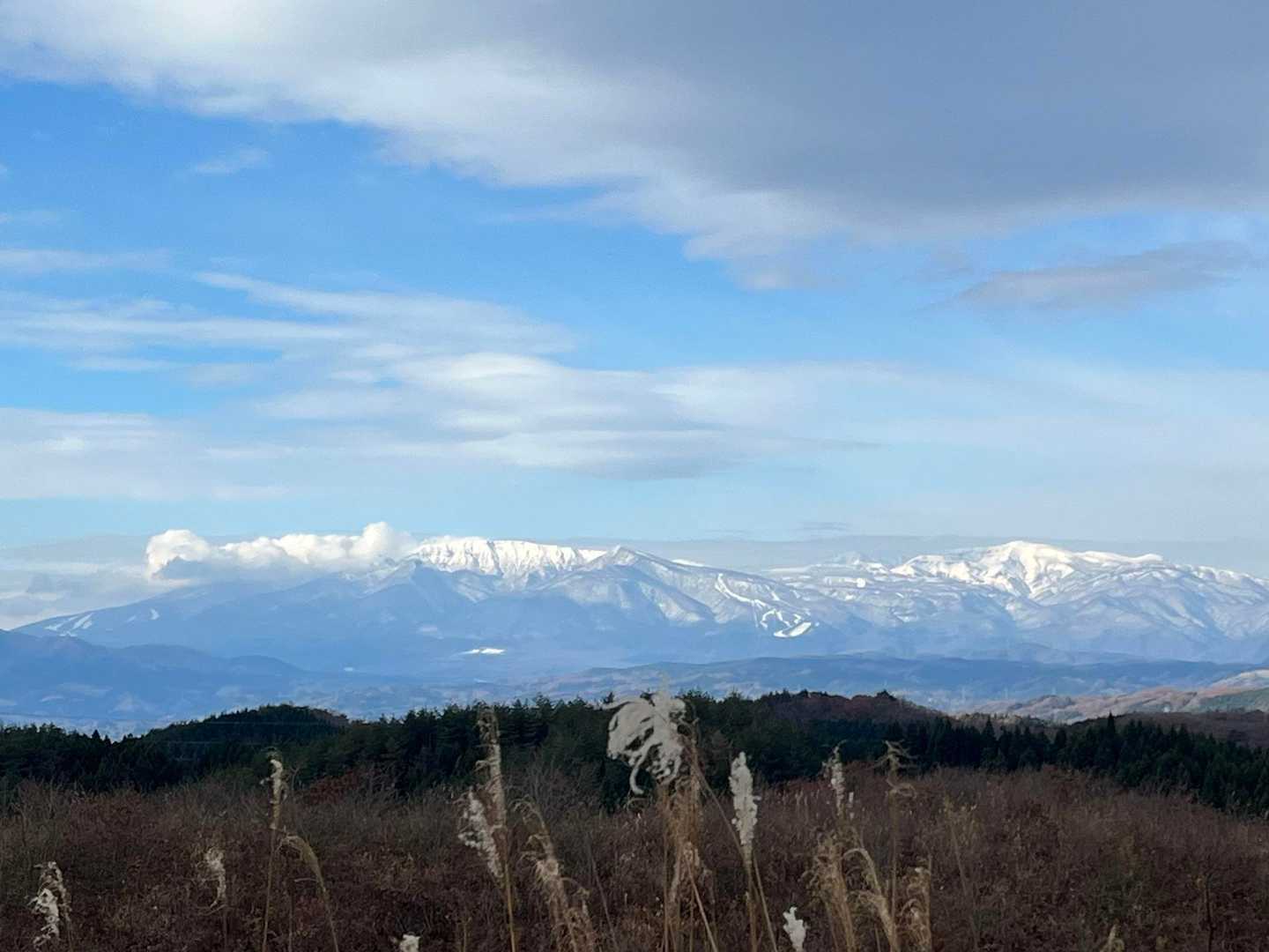 最後にもう一枚🤳