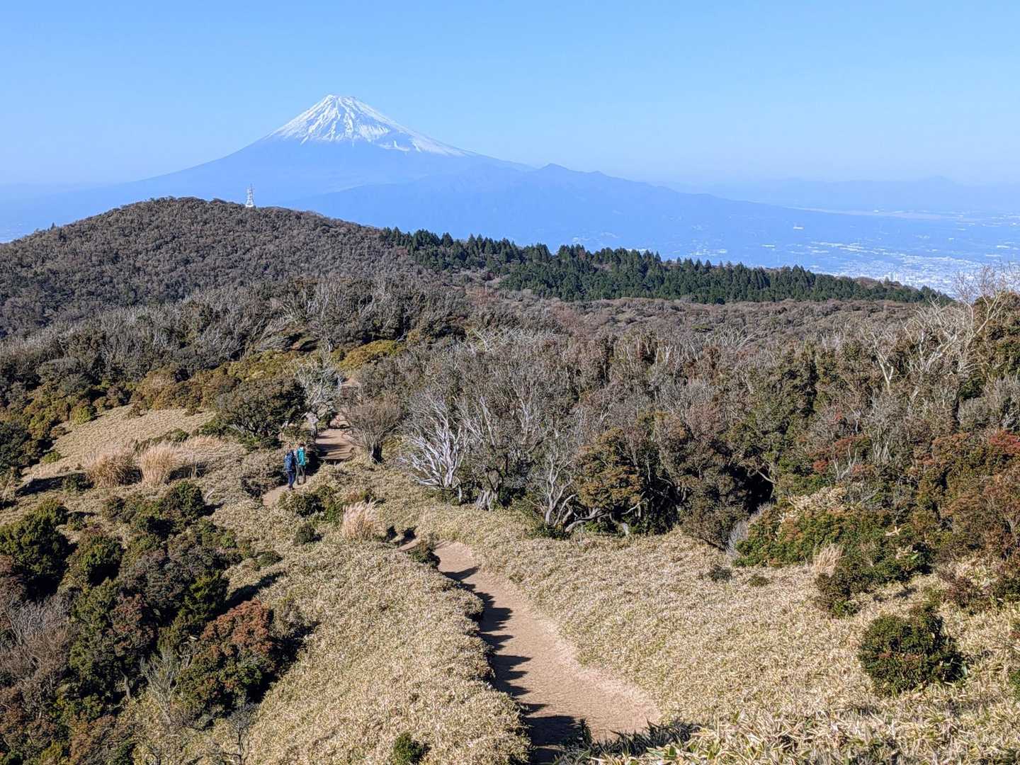 戸田峠-小達磨山 往復コースの写真