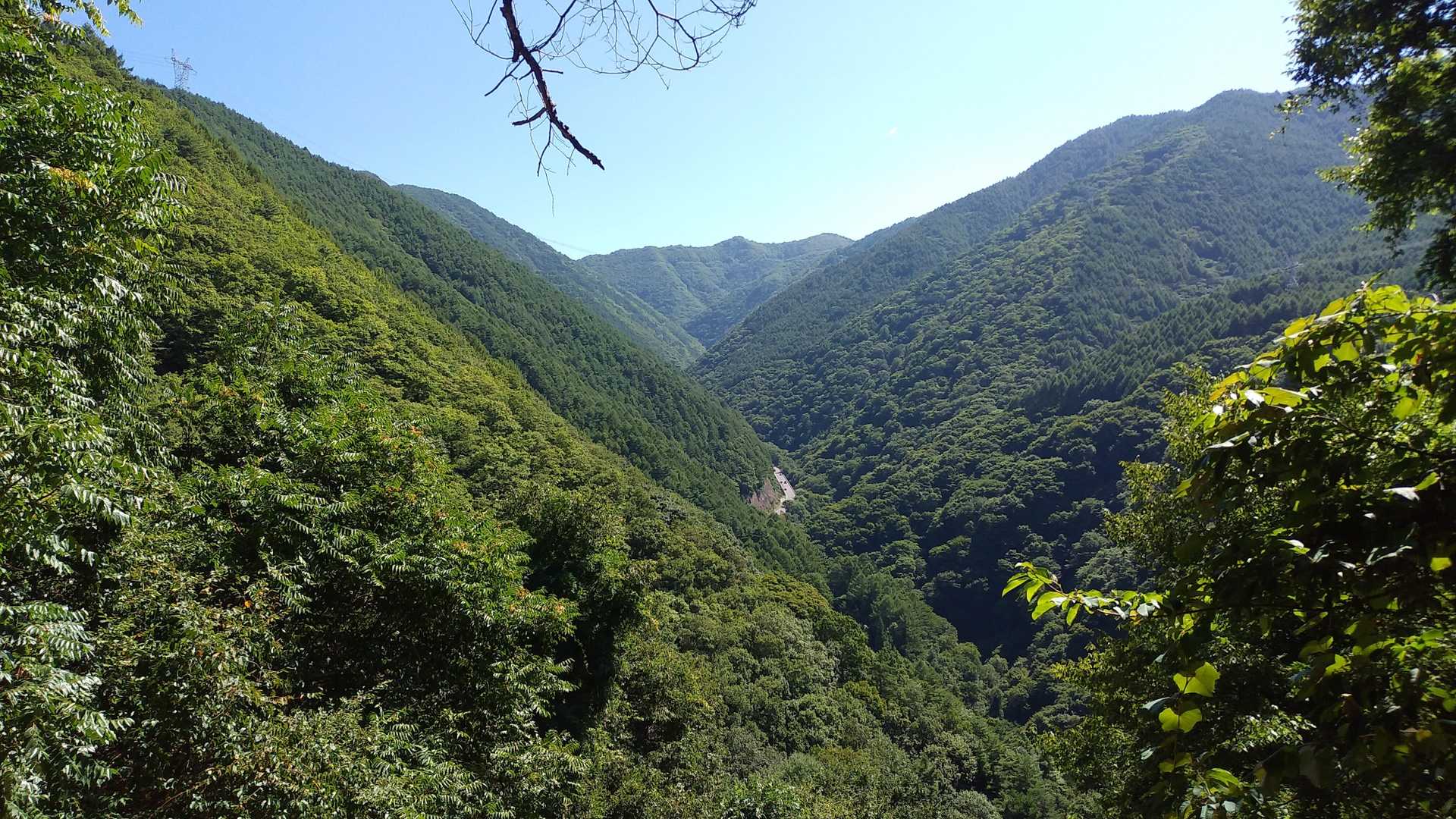 一番奥の山までの周回コースです💨